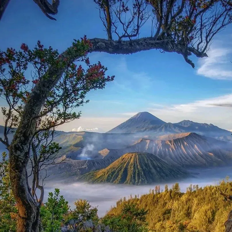 Galeri Paket Wisata Bromo